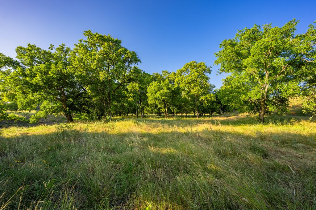 3841 W Us Hwy 290 Property Photo 40