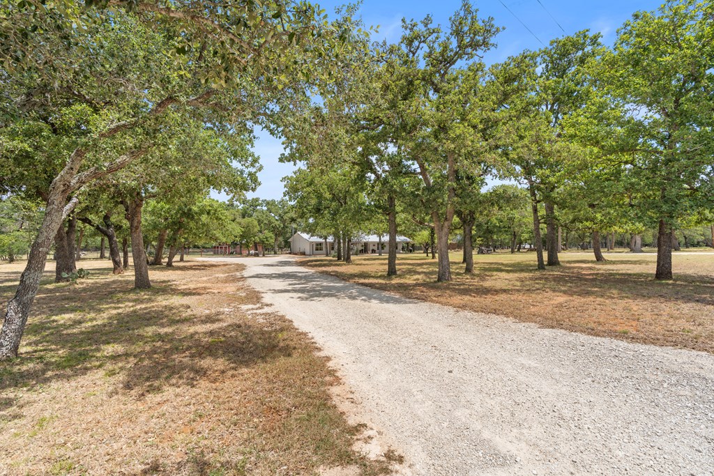 111 Wilderness Dr Property Photo 6