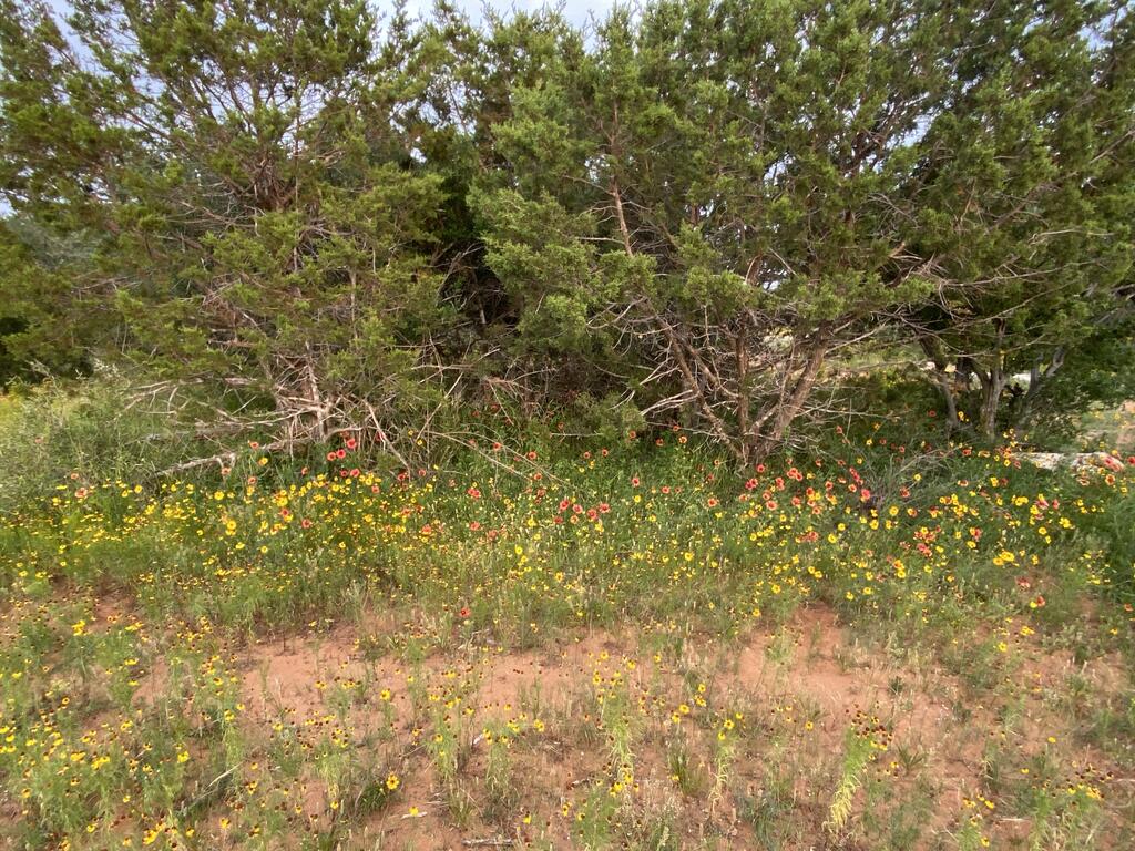 Tract 5 Jack Rabbit Rd # 5 Property Photo 7