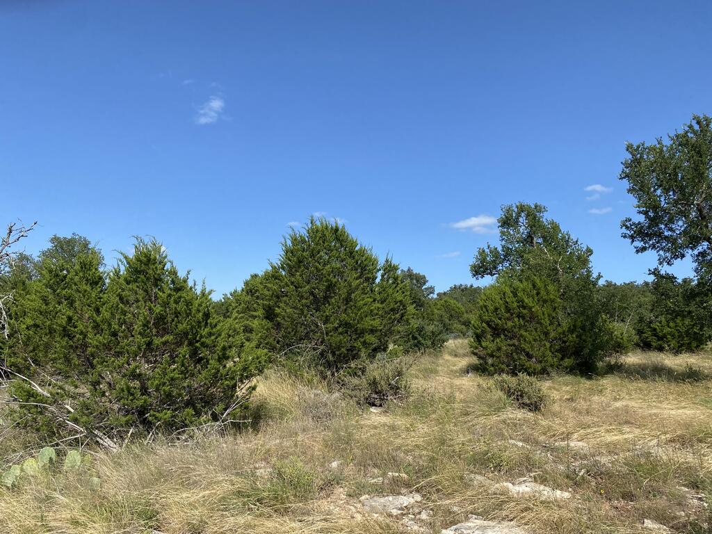 Tract 5 Jack Rabbit Rd # 5 Property Photo 9