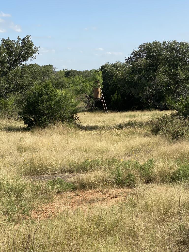 Tract 5 Jack Rabbit Rd # 5 Property Photo 10