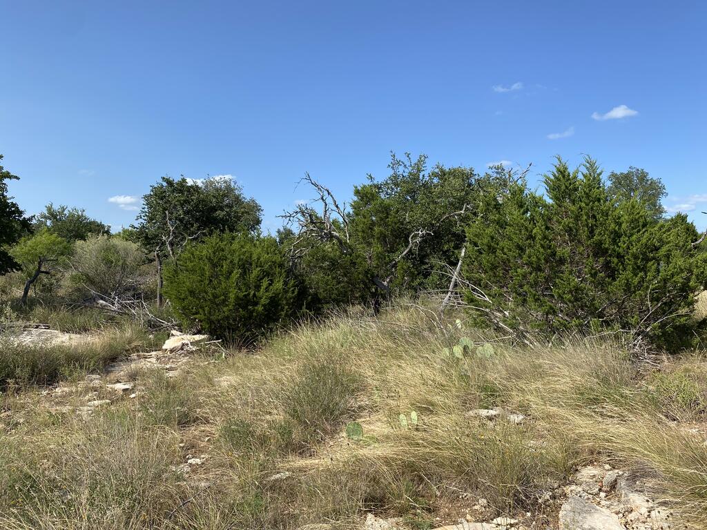 Tract 5 Jack Rabbit Rd # 5 Property Photo 11