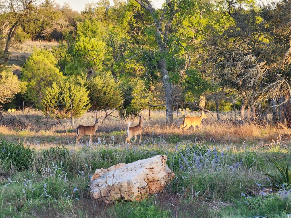 7991 Ranch Rd 965 Property Photo 52