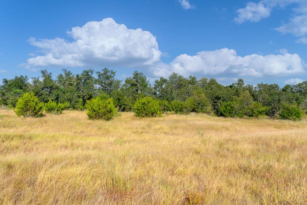 7994 W Us Hwy 290 # 2 Property Photo 12