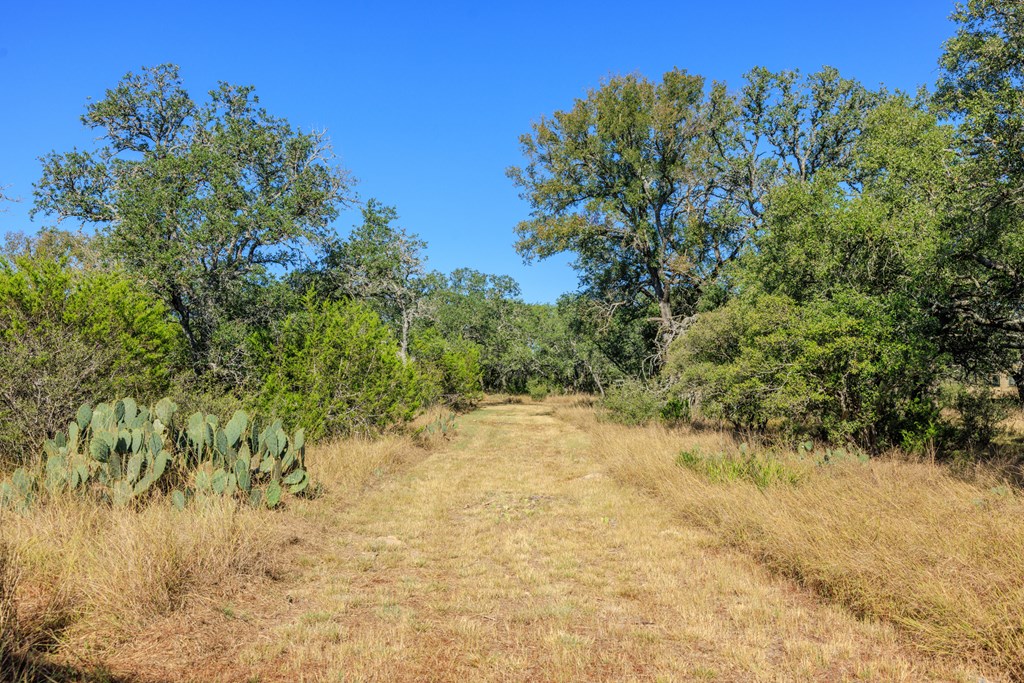 212 Summer Hill Dr Property Photo 32