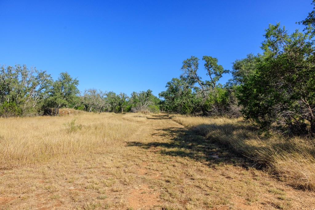 212 Summer Hill Dr Property Photo 34