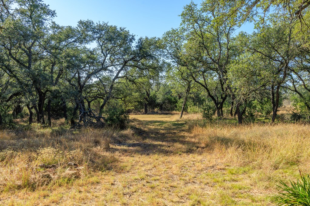212 Summer Hill Dr Property Photo 35