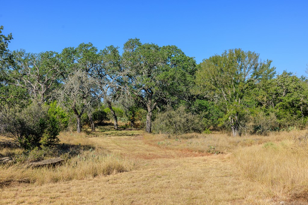 212 Summer Hill Dr Property Photo 36