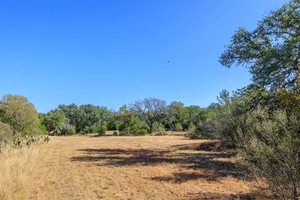 212 Summer Hill Dr Property Photo 37