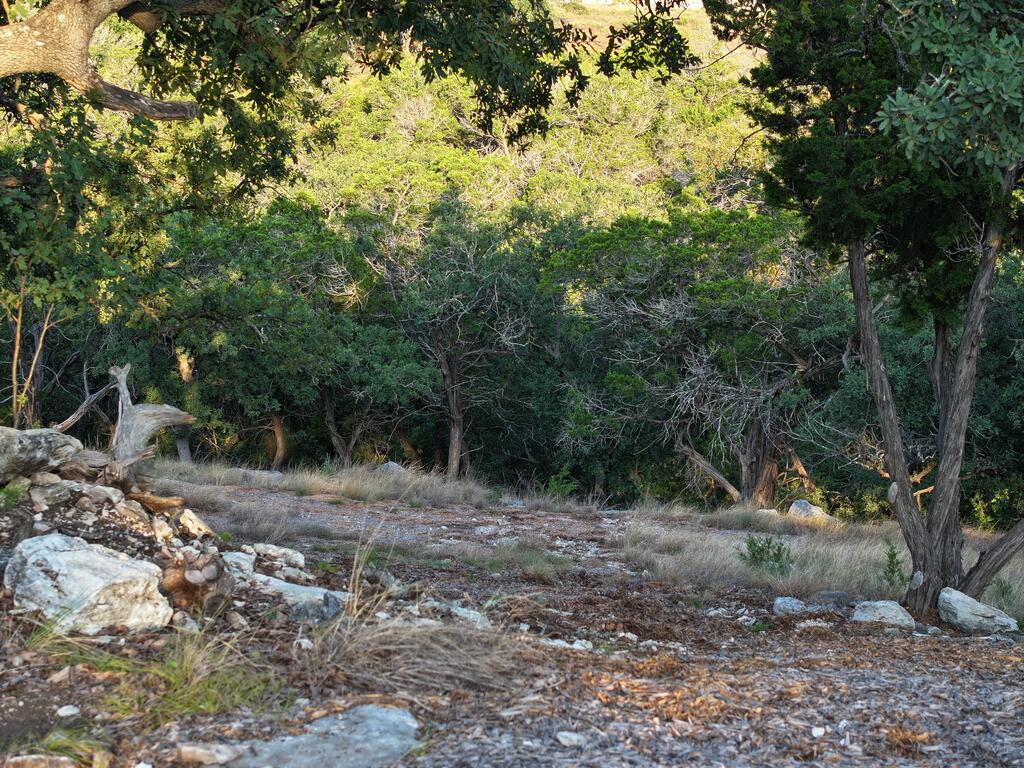 102 Avila Ridge Dr. Property Photo 15