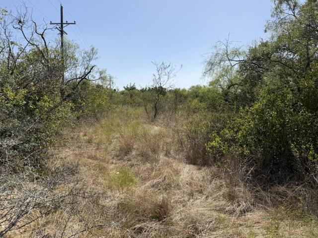 1-4 Property Photo 6