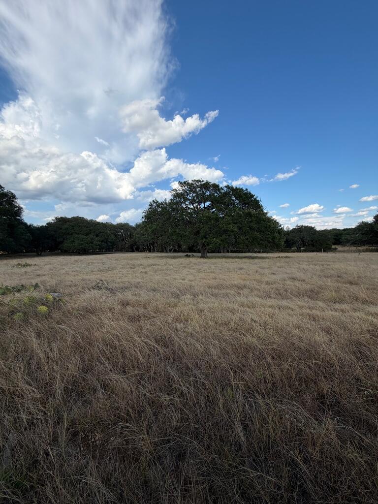 Tbd Ranch Rd 1623 Property Photo 9