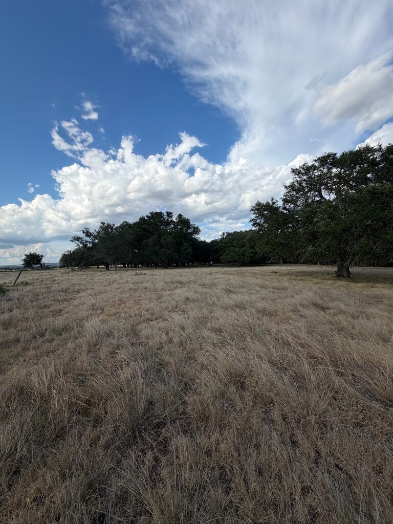 Tbd Ranch Rd 1623 Property Photo 11