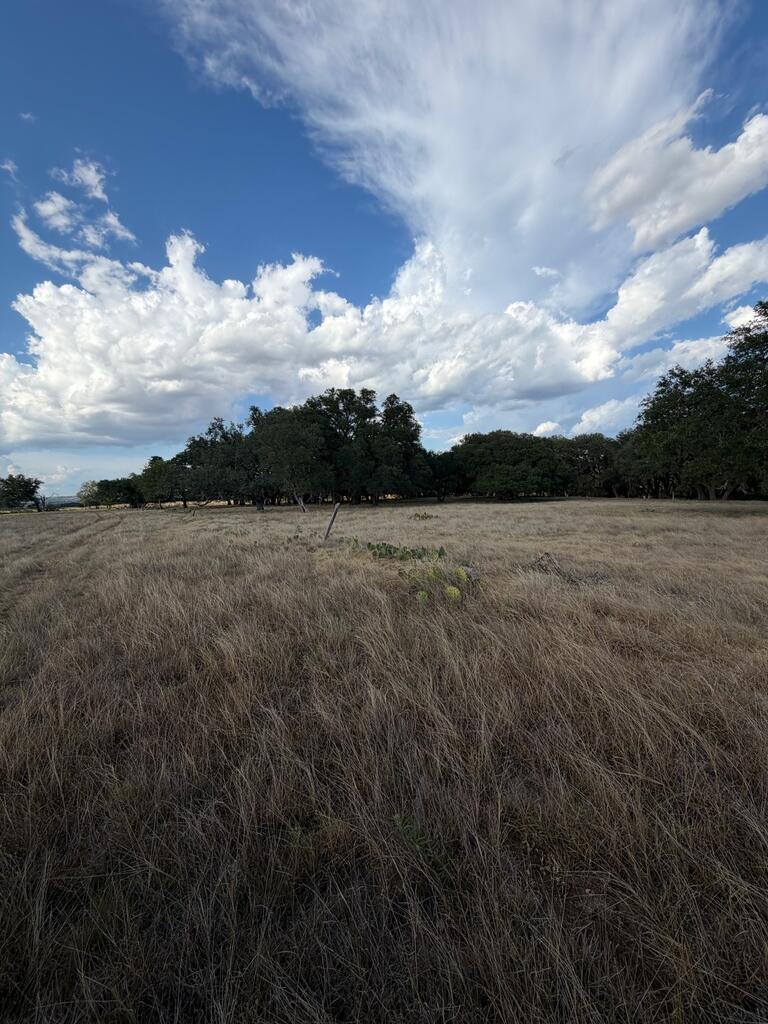 Tbd Ranch Rd 1623 Property Photo 16