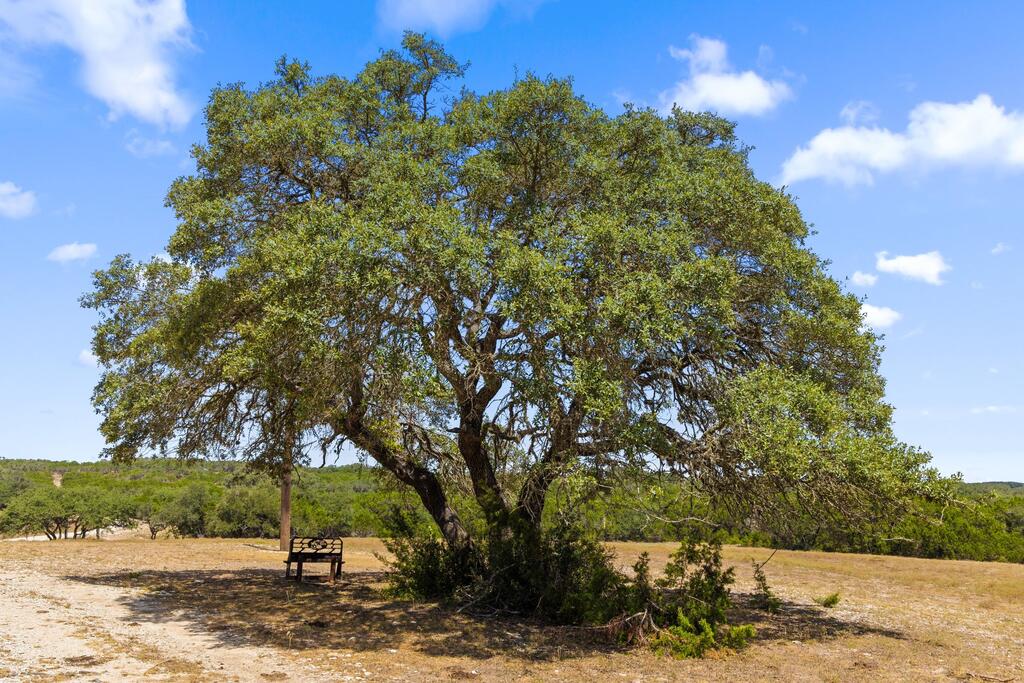 14511 Fm 32 Property Photo 8