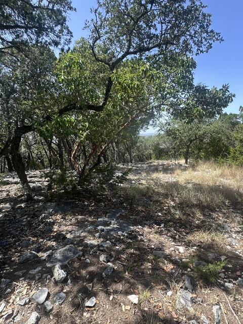 88 Other Property Photo 3