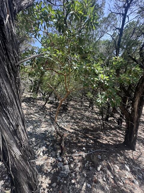 88 Other Property Photo 6