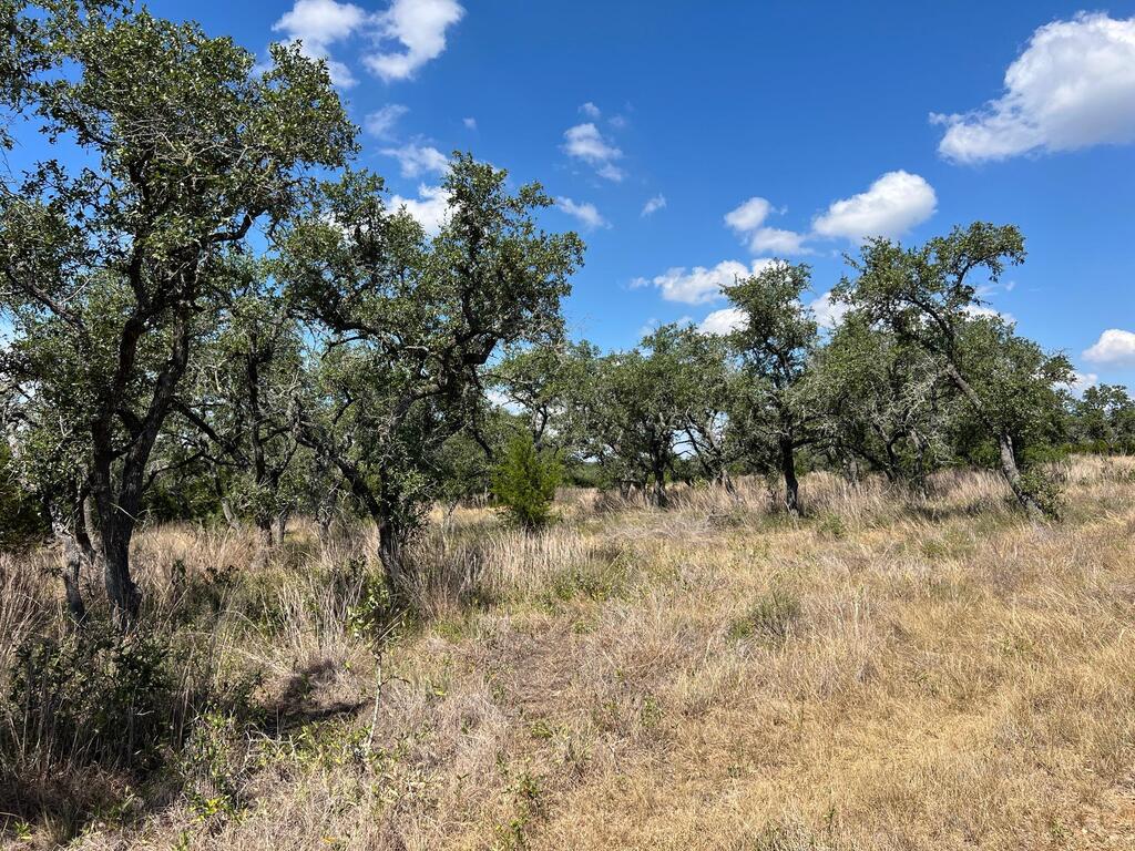 992 Other Property Photo 11