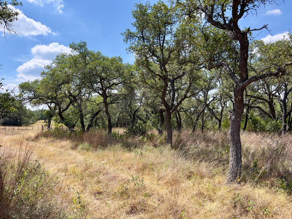 992 Other Property Photo 12