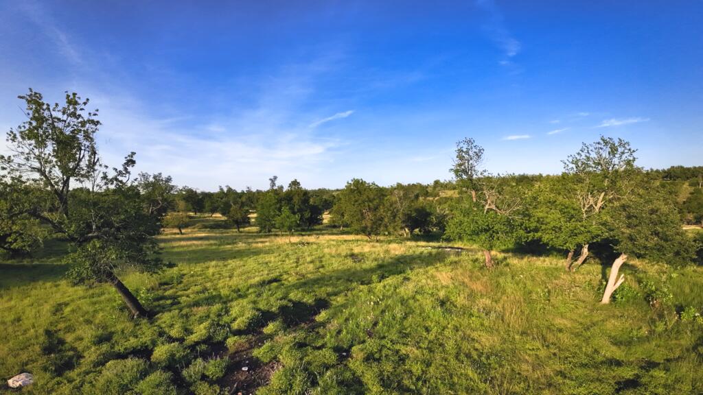 0 Loudon Rd Property Photo 1