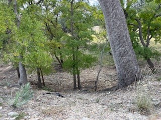 800 Schumann Rd Property Photo 26