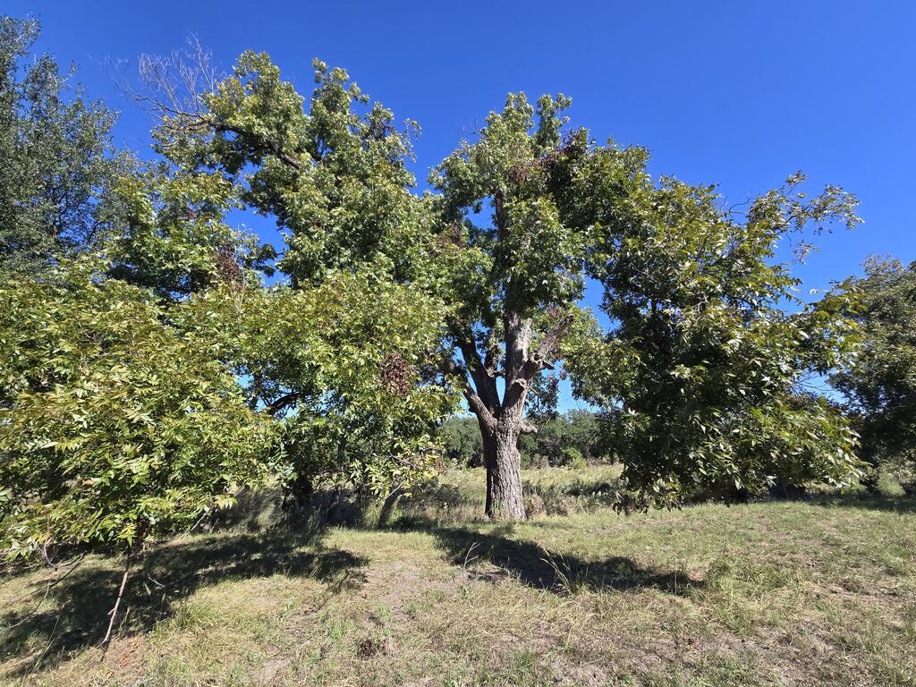 598 Dunagan Road Property Photo 1