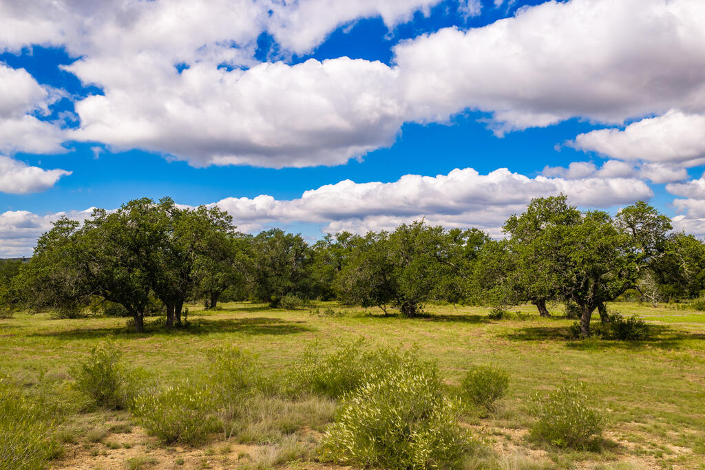 3145 N Grape Creek Rd Property Photo 3