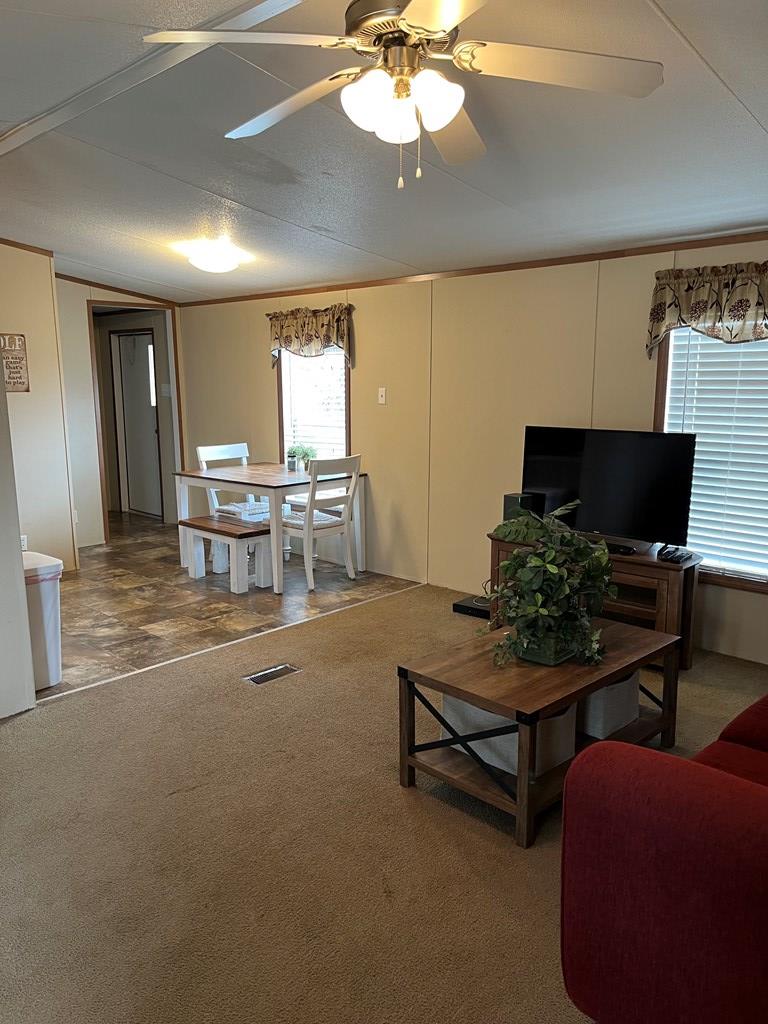 1713 Cave Dr Property Photo 4