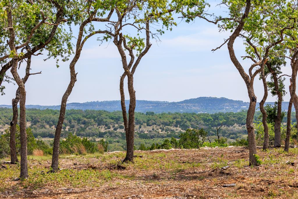Lot 195 N Flat Rock Way # 195 Property Photo 1