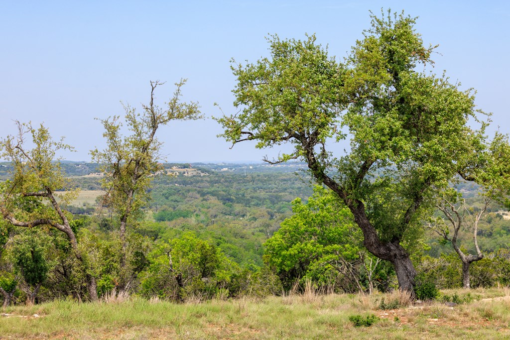 Lot 195 N Flat Rock Way # 195 Property Photo 2
