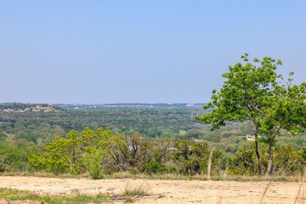 Lot 195 N Flat Rock Way # 195 Property Photo 6