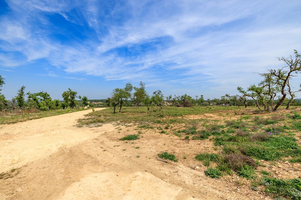 Lot 195 N Flat Rock Way # 195 Property Photo 7