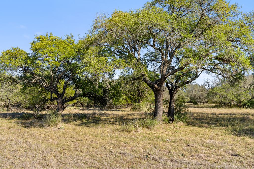 Lot 5 Fawn Circle Property Photo 1