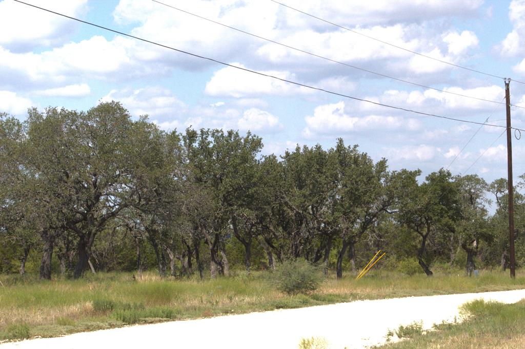 Pr # 42125 P R Ln # 69 Property Photo 6