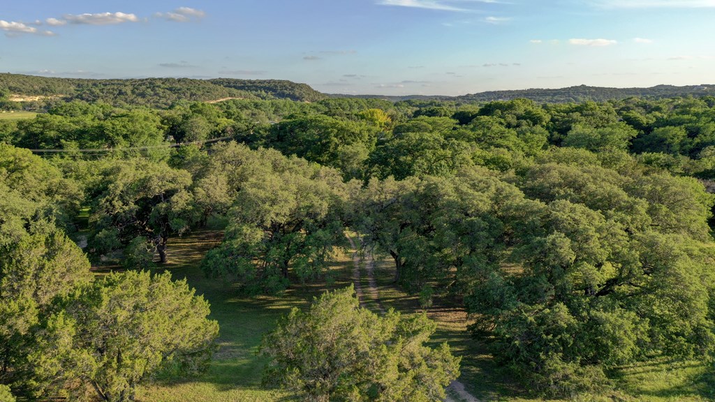246 River Rd Property Photo 36