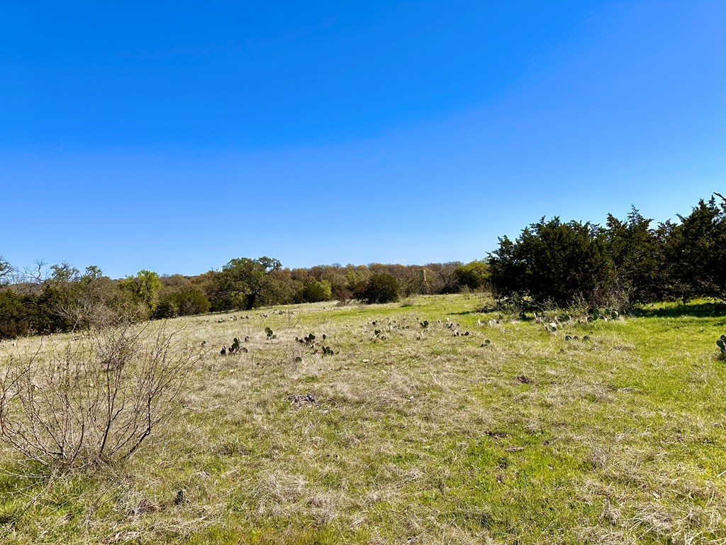 4 S Whitetail Trail # 4 Property Photo 21
