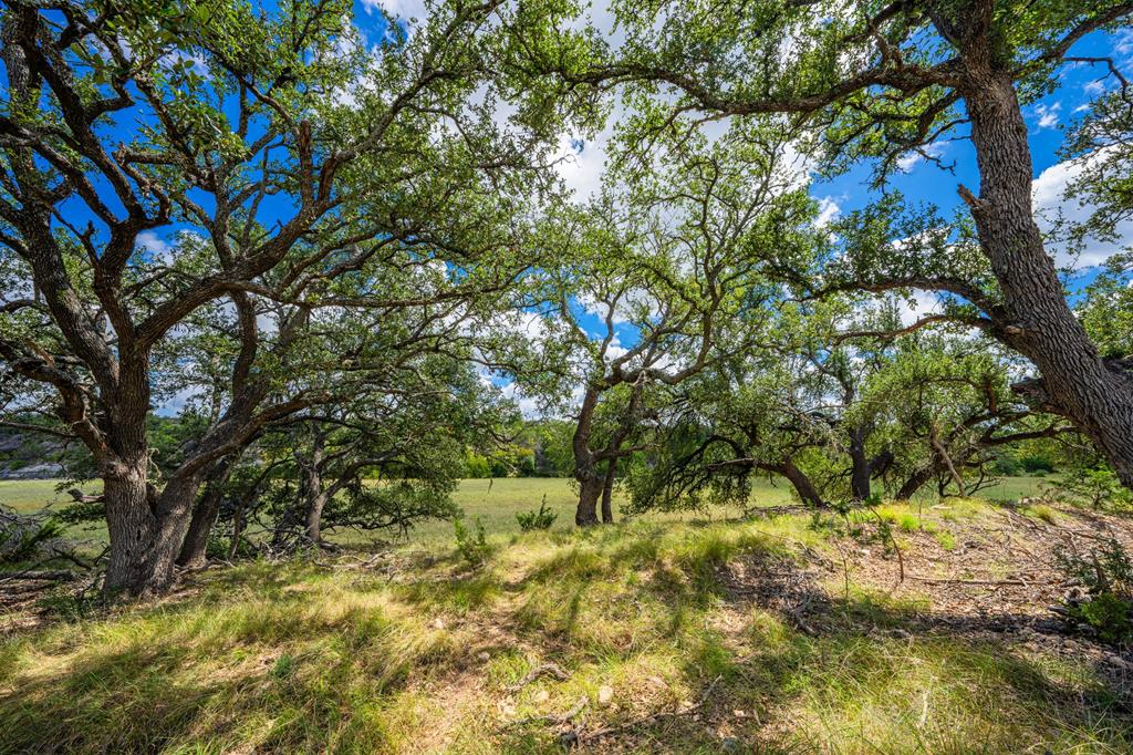 37 S Ranch Rd 783 Property Photo 12