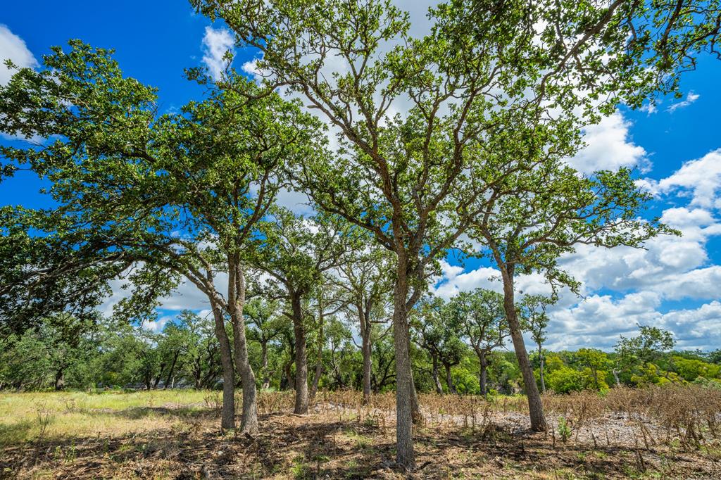 37 S Ranch Rd 783 Property Photo 14
