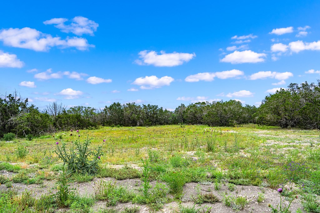 195&200 Countless Views Dr Property Photo 10