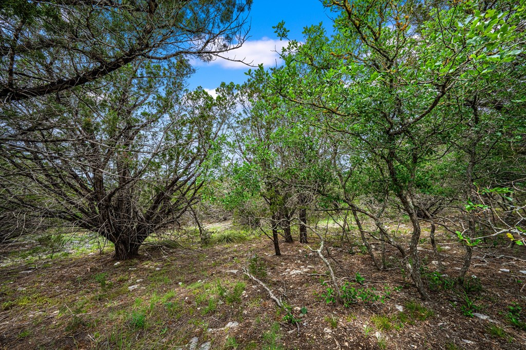 195&200 Countless Views Dr Property Photo 12