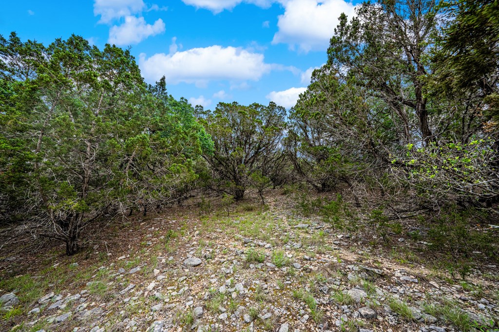 195&200 Countless Views Dr Property Photo 15