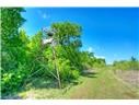 4201 County Rd 463 Property Photo 32