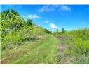 4201 County Rd 463 Property Photo 33
