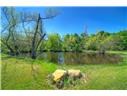 4201 County Rd 463 Property Photo 35