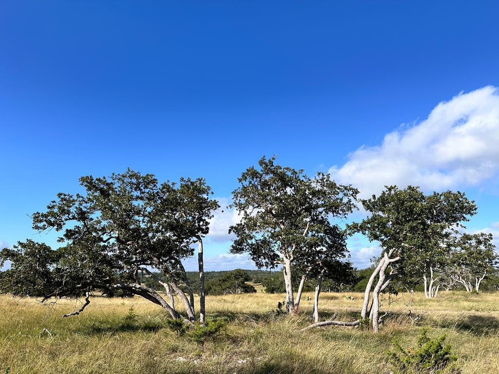 Lot 41 Buckskin Path # 41 Property Photo 1