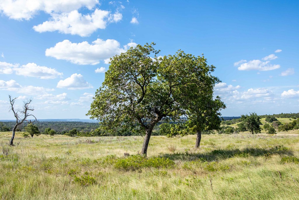 Lot 11 Badger Ridge Rd # 11 Property Photo 6