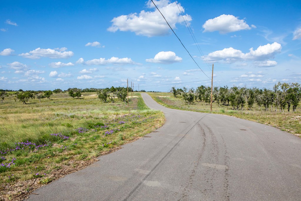 Lot 11 Badger Ridge Rd # 11 Property Photo 10