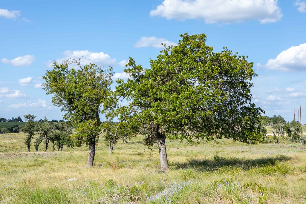 Lot 11 Badger Ridge Rd # 11 Property Photo 14