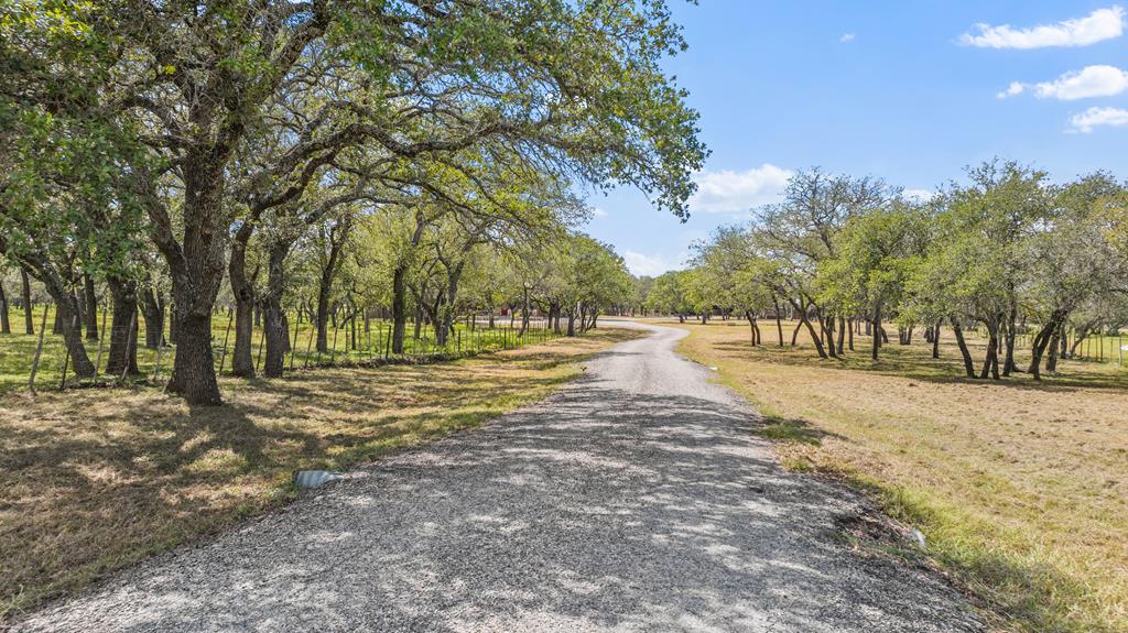 2631 N Us Hwy 281 Property Photo 4