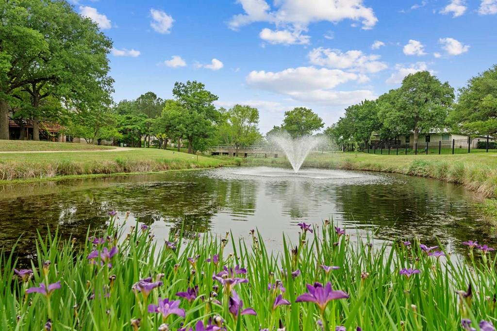 311 Summer Hill Dr Property Photo 22